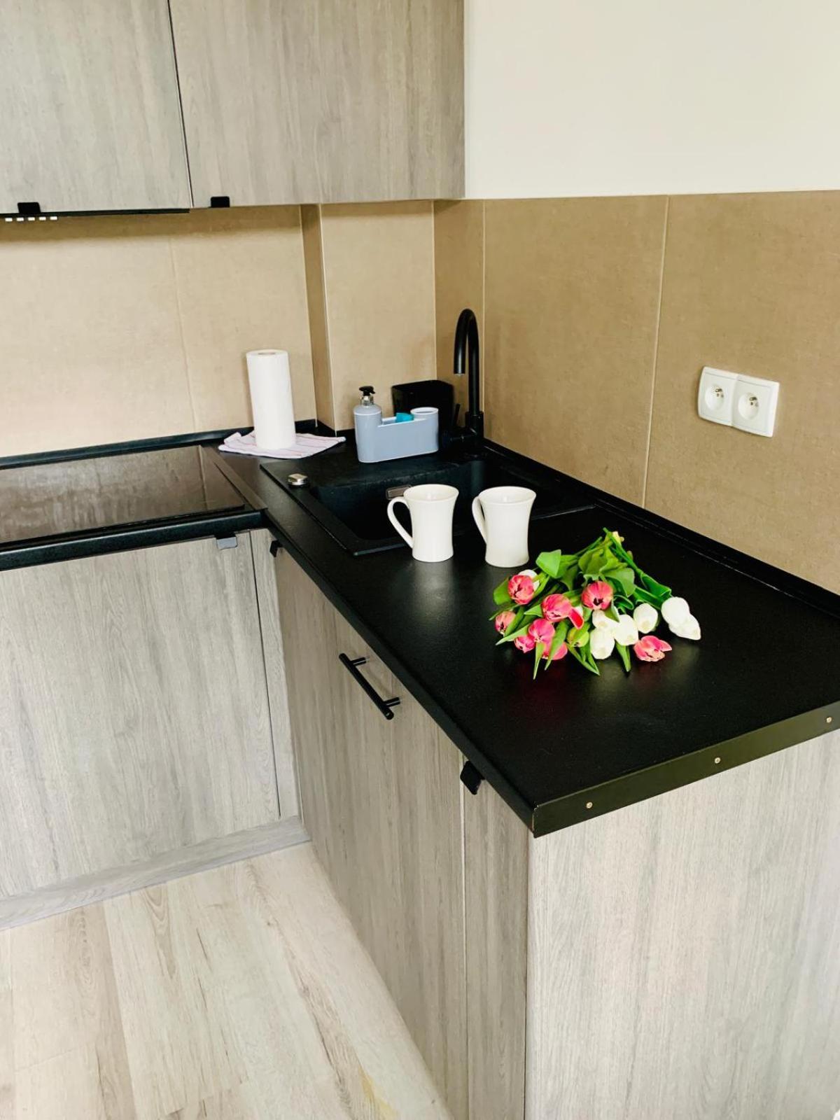 Apartament Fraszka U Kochanowskiego Ac Progres Stary Toruń Exteriör bild